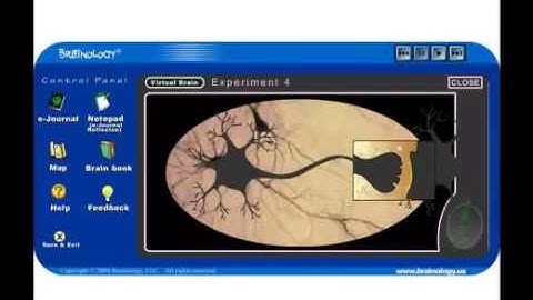 Brainology curriculum overview