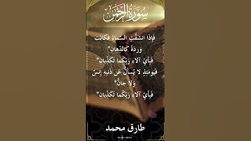 The Holy Quran Ar Rahman Al Sheikh Tareq Mohammad قران كريم الشيخ طارق محمد سورة الرحمن
