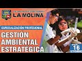 GESTIÓN AMBIENTAL ESTRATÉGICA
