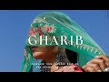 Afro Arab X Latin Afrobeat GHARIB Oud Guitar Afrobeat Instrumental 