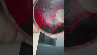 Sunset on coconut shell#painting#diy #shorts