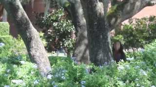Jennifer Sawickis Lead Class - Friends