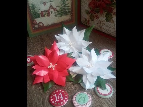 Vidéo: Fabriquer des poinsettias en papier : comment faire des fleurs de Noël en papier