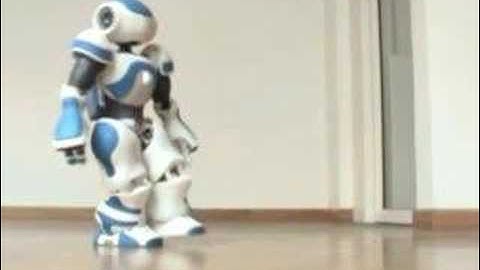 NAO Humanoid Robot Walking