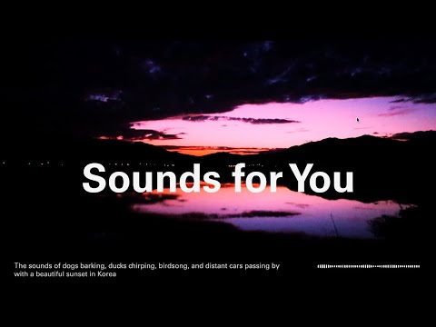 Sunset over a