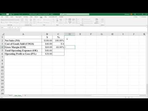 Skeletal Profit and Loss Statement in Excel - YouTube