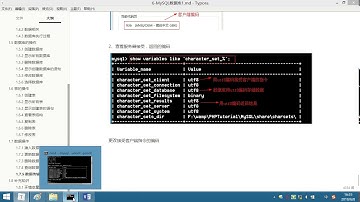 MySQL 1- 18 字符编码设置