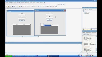 Visual Basic 2008 - DataGridView Rows ADD