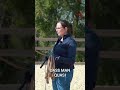 Longieren für bessere Pferdeausbildung: So gelingt's!🐴
