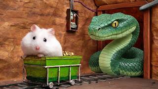 Hamster Trapped in a Multi-Level Maze – Can He Find the Exit?
