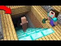 WHERE LEAD THIS DIAMOND STAIRCASE IN VILLAGER HOUSE? Minecraft - NOOB vs PRO