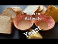 Active dry yeast vs Quick rise yeast | How to activate yeast for beginners