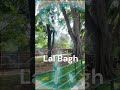 Cubing at Lal Bagh | Part 12#cubing #lalbaghbotanicalgarden #trending #viral #gancube #gangurus#3x3