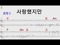 사랑했지만 C 김광석 /통기타카포.오카리나 악보영상