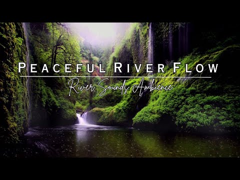 Flowing River in Mossy Green Mountains🌳💧Pure Nature for Sleep, Study, and Stress Relief