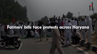 Farmer protests in Haryana