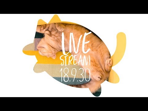 수리노을 고양이가족 LIVE 2018년9월 30일 【SURI&NOEL】