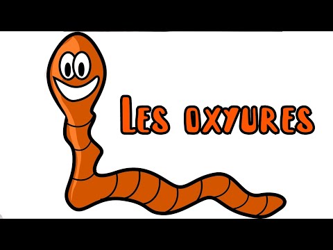 Vidéo: Les Oxyures Chez Les Adultes: Causes, Symptômes, Diagnostic Et Traitement