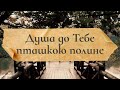 Душа до Тебе пташкою полине•(В цім світі)•Християнська пісня•Слухай і завантажуй•