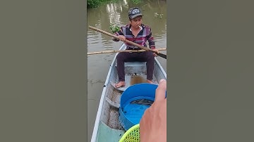 Hướng dẫn thả cáp kich lạnh#catch