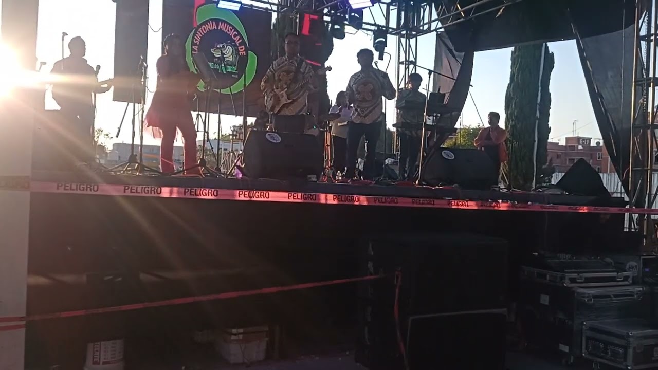 La Sintonía Musical del Kayman de la Kumbia 🐊 cómo me gustas