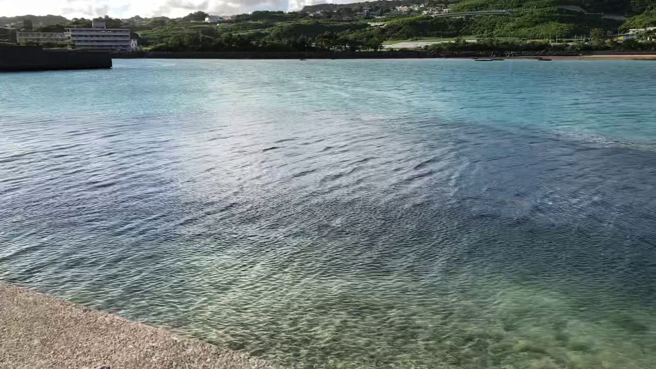 沖縄本島南部の奧武島の漁港でミジュン（魚）の群れ - YouTube