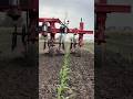 Powerful Tractor with Cultivator | Modern Agriculture Innovation #agrifuture #shorts