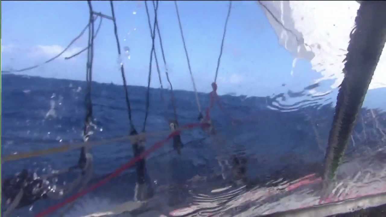 Alessandro Di Benedetto varie son alimentation