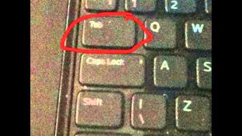 How to be big in Tinks Tree on binweevils