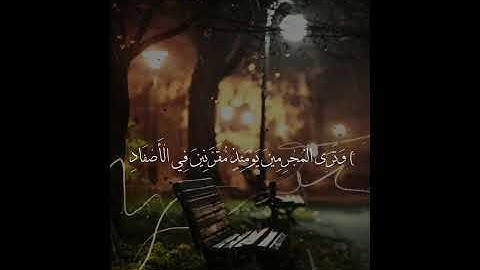 يوم تبدل الارض غير الارض (أواخر سورة ابراهيم)|محمد حسن|