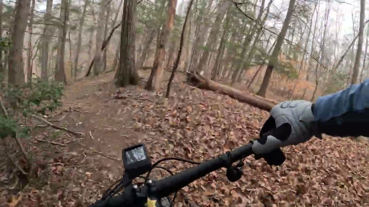 Grey’s Reservoir trail.