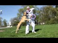 Puller jouet innovant ultrarsistant pour chiens sportifs