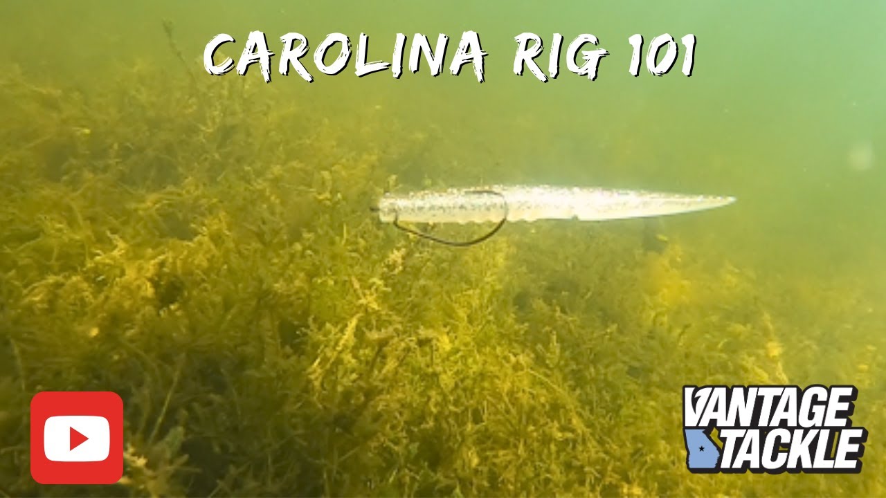 Carolina Rig Bass Fishing: Best Spots & Techniques Explained - YouTube