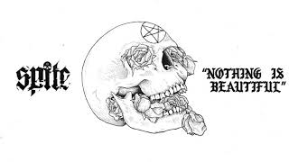 Famous Spite IED w/Lyrics Net Worth