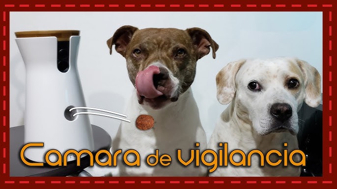 Furbo, cámara de vigilancia para mascotas que lanza premios a distancia