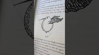 QUIDDITCH FACT: The Golden Snitch #harrypotter #potterhead #hogwarts #quidditchchampions