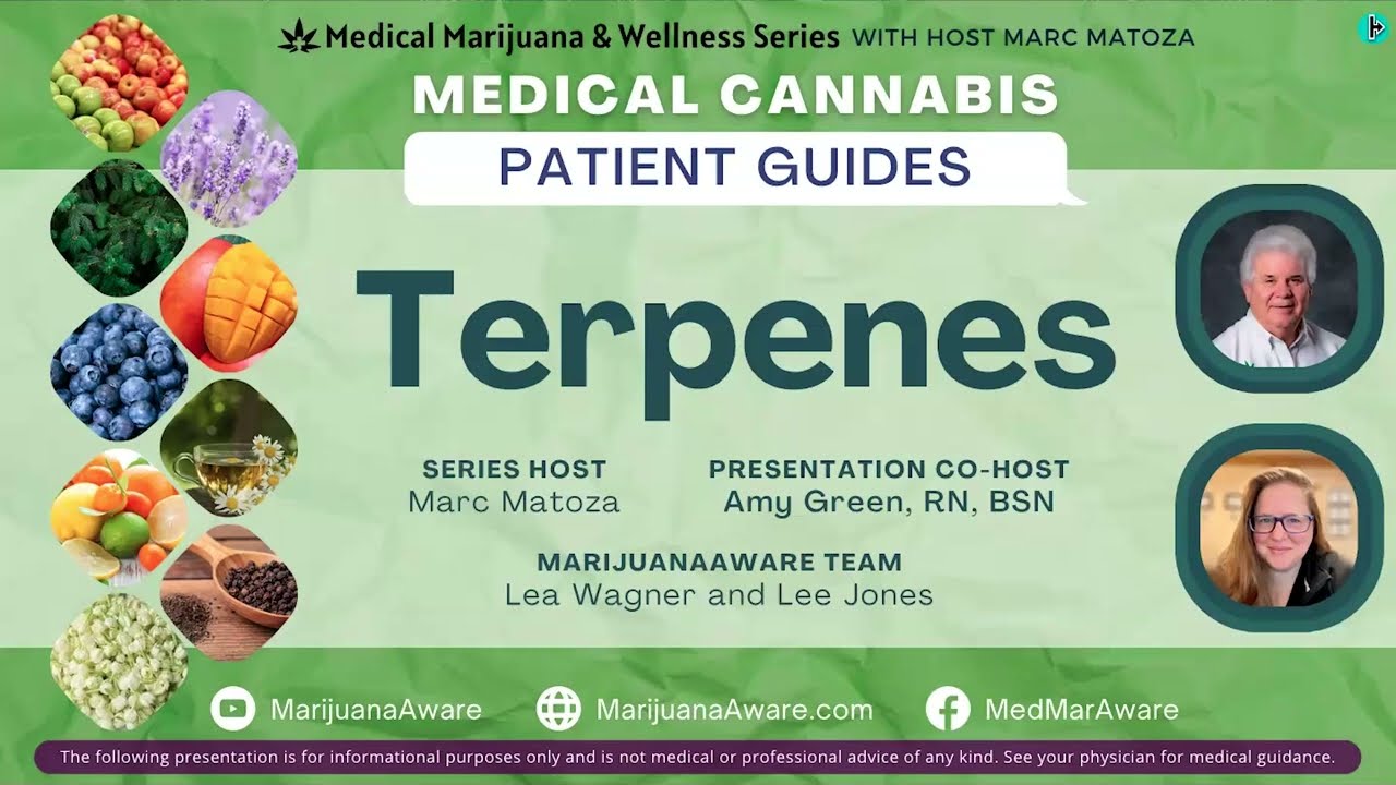 Your Terpene Toolbox: Choosing the Right Terpenes for Your Condition - 2024