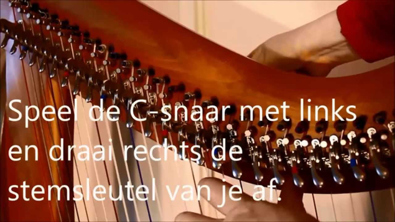 hoe-stem-je-een-harp-of-harp-stemmen-door-harpiste-regina-ederveen