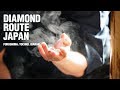 Diamond Route Japan: History. Discover the Living Samurai Spirit.
