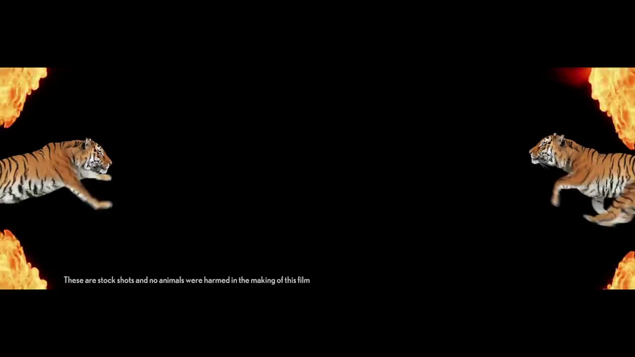 ipl 2018 :   IPL AUCTION 2018: FULL LIST of Players bought by IPL Teams CSK, MI, SRH, RCB, KXIP, KKR