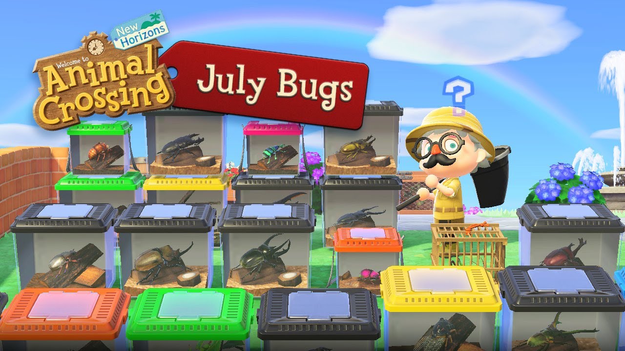 July Bug Guide - Animal Crossing New Horizons - YouTube