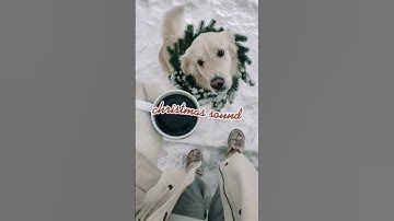 Thumbnail of Christmas sounds- we need a little Christmas