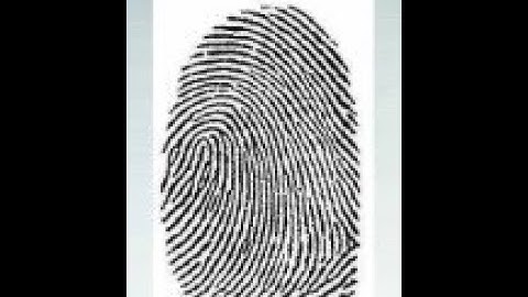 Primary Classification of Fingerprints Explanation