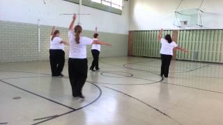 Logansport adult twirlers head to state fair