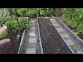 My last video from the urban homestead and why my garden is such a mess