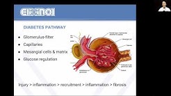 Kidney disease and CBD