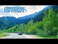 Аюсай: Захватывающая дорога в Медвежье ущелье. Куда пойти в Алматы - 1 Minute Story NS