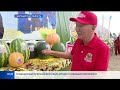 Традиционный Арбузный фестиваль прошел в Павлодарской области