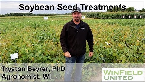 Soybean Seed Treatment Demos 2020