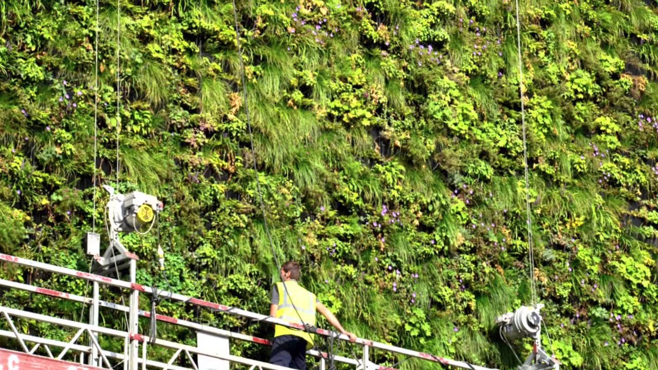 London's Largest Living Wall YouTube
